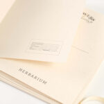 waldkinder-shop-prints-herbarium-suite-2
