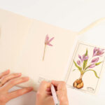waldkinder-shop-prints-herbarium-suite-3